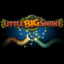 Little Big Snake