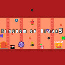 Kingdom of Ninja 5